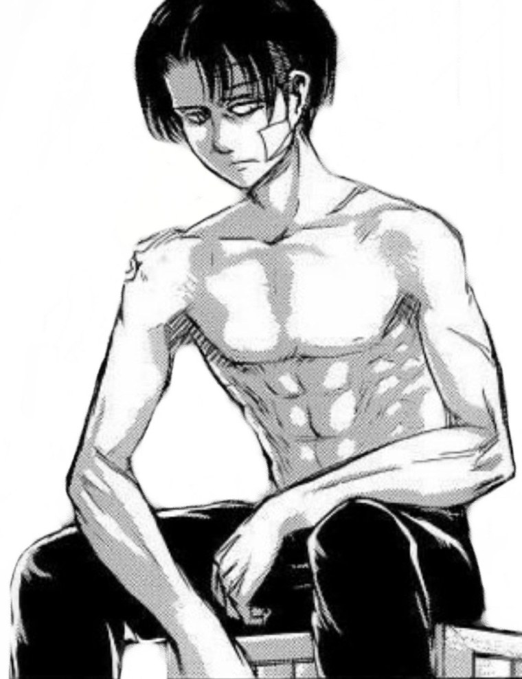 Леви Аккерман Титан