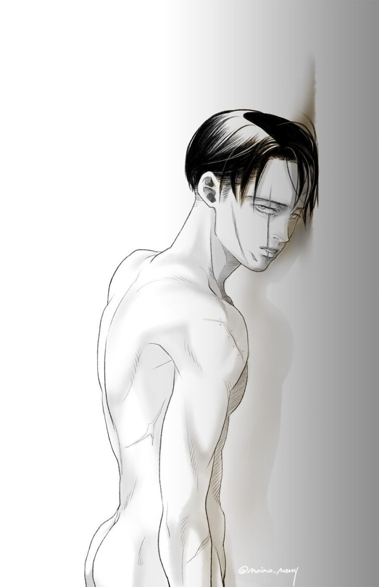 Капитан Леви