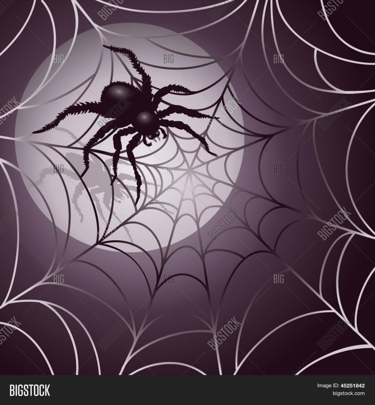 Паук на паутине