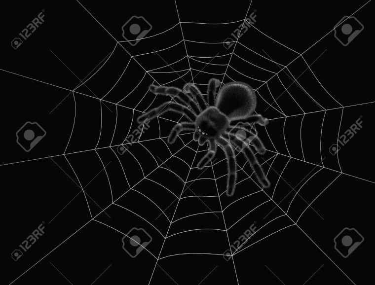 Паутина симметрия