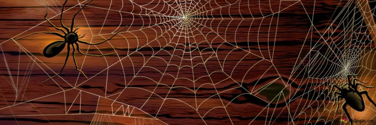 Насекомые пауки на желтом фоне