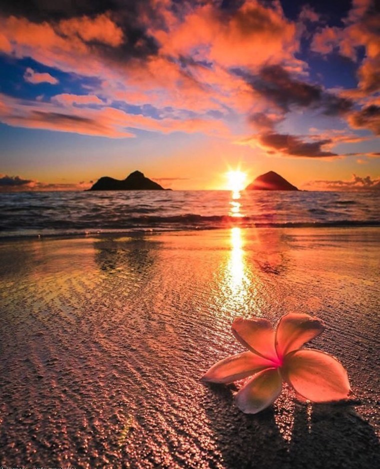 Красивый закат