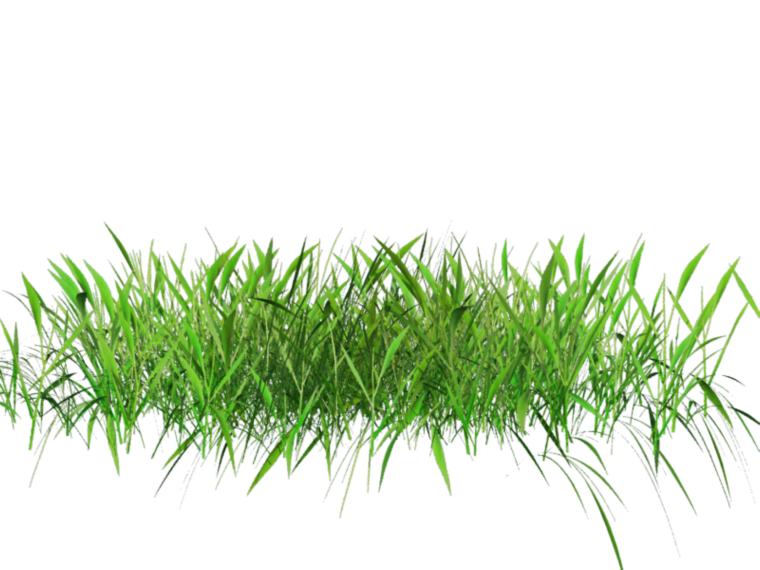 Трава для фотошопа