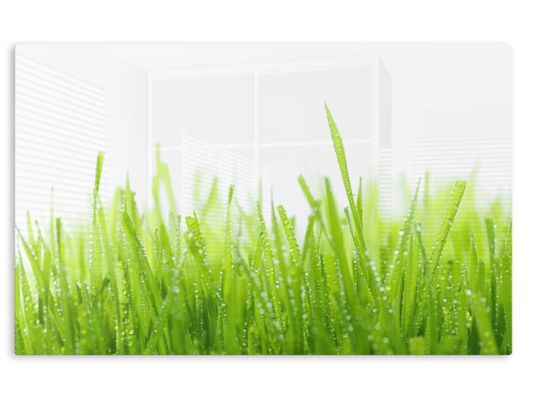 Зеленая трава на белом фоне