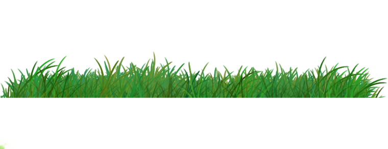 Бордюр травка