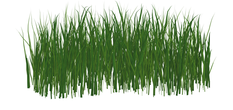 Текстура травы прозрачная