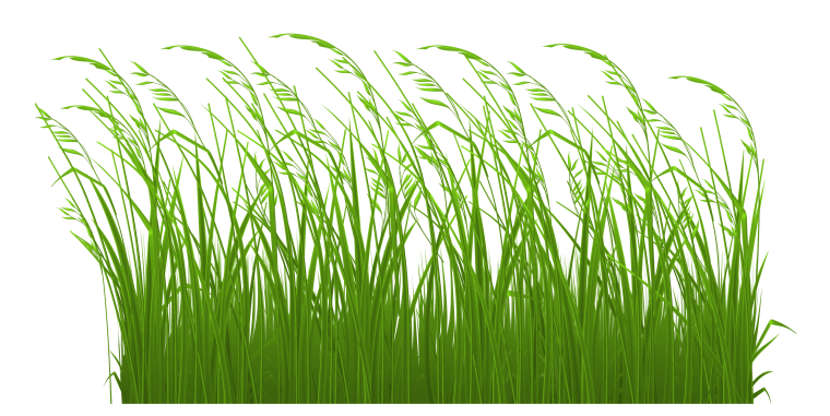 Трава рисунок