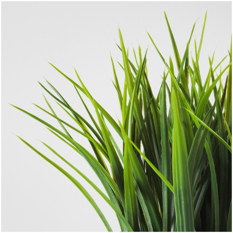 Fejka фейка искусственное растение