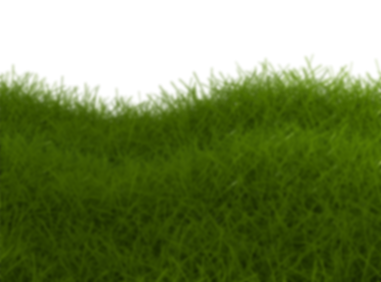 Трава для фотошопа