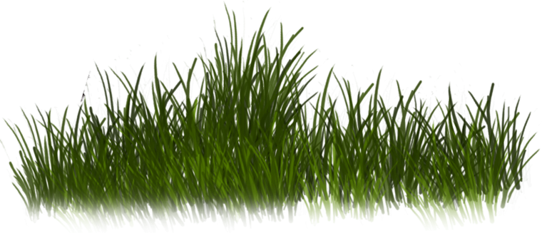 Трава 2д