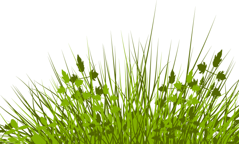 Трава силуэт