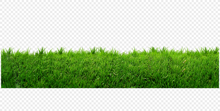 Газон на прозрачном фоне