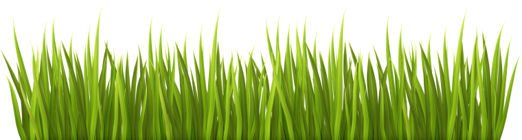 Трава вектор