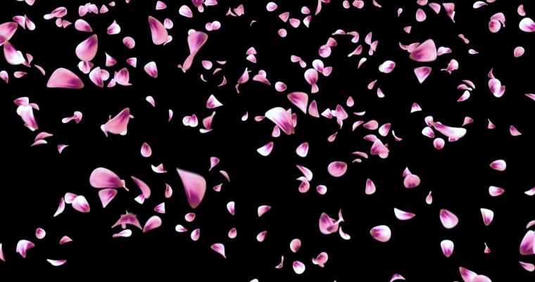 Лепестки роз