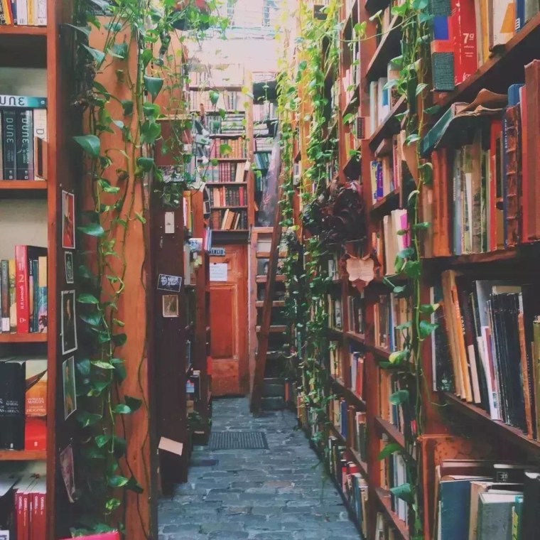 Книжный магазин с растениями