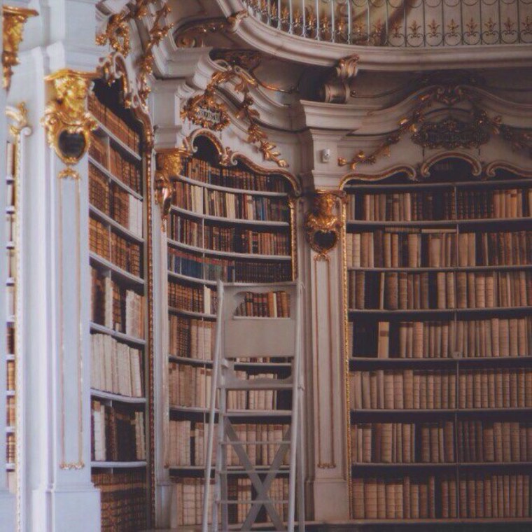 Старая библиотека Эстетика