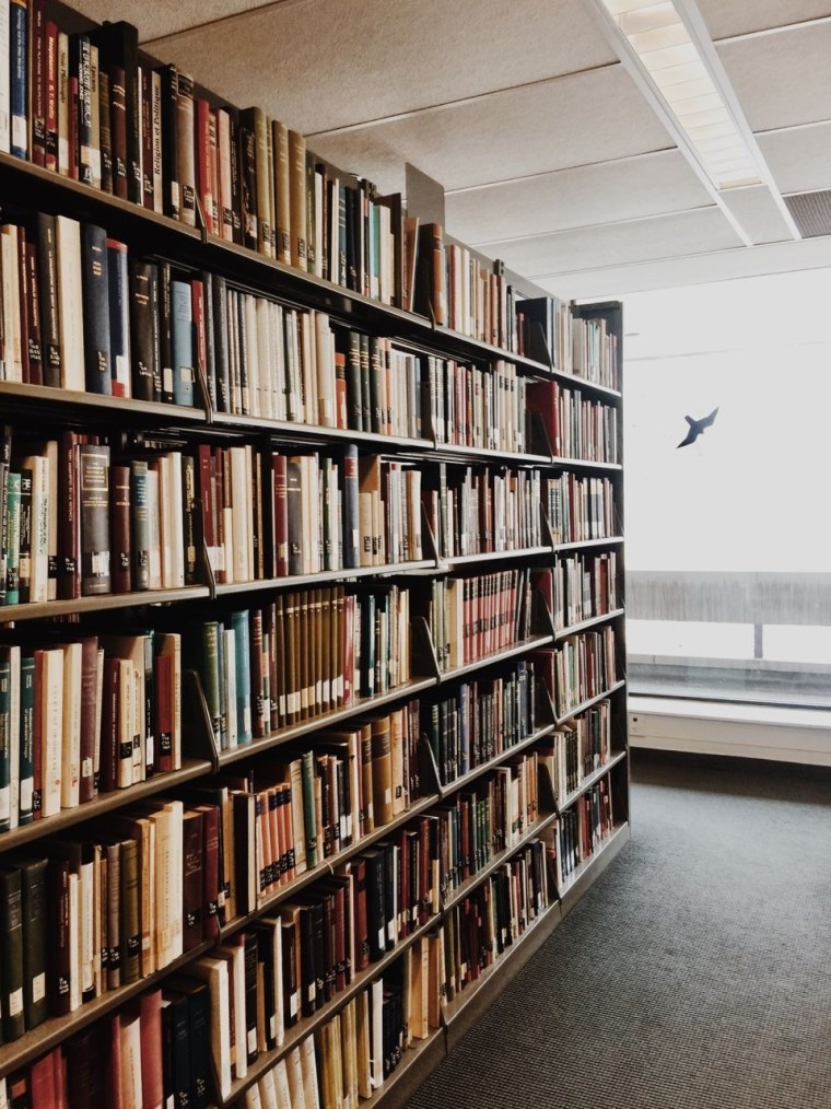 Библиотека в школе Эстетика