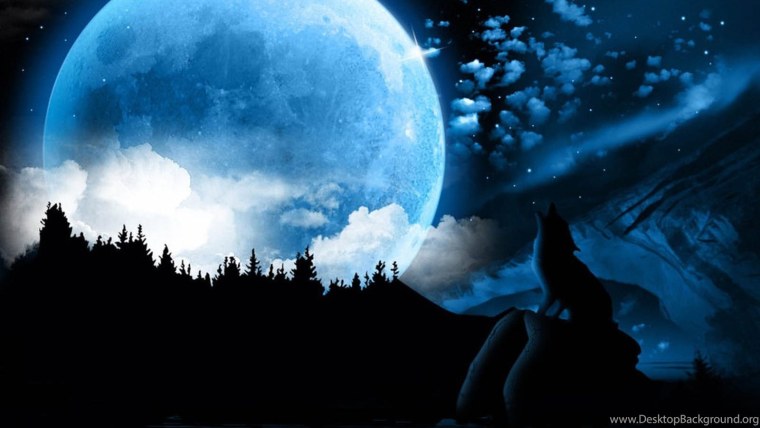 Ночь фэнтези