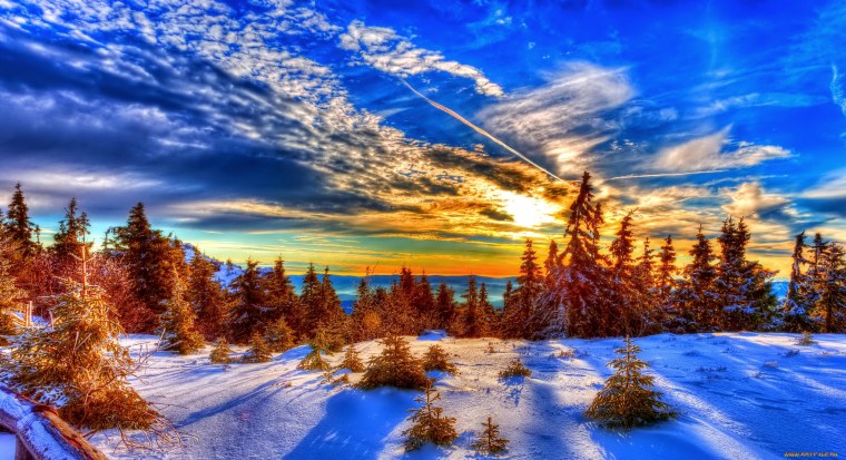 Зимняя природа