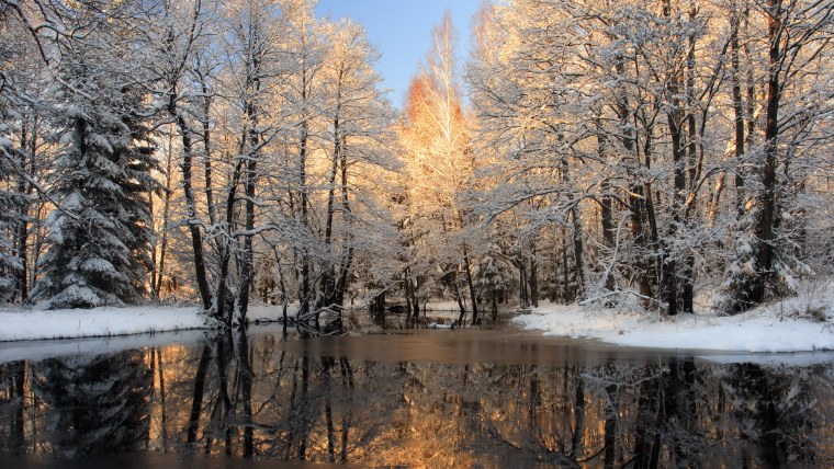 Природа ранняя зима