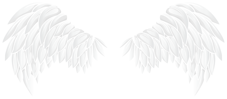 Крылья на прозрачном фоне