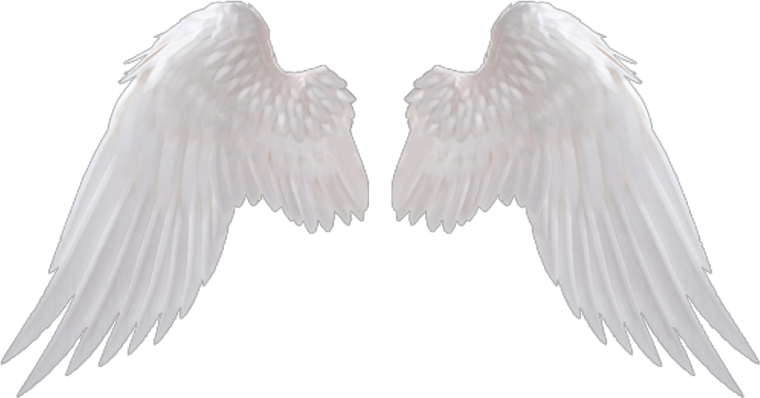 Ангел с крыльями