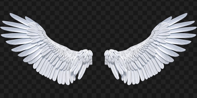 Крылья ангела