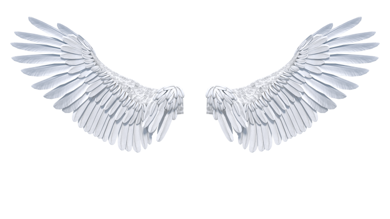 Крылья для фотошопа