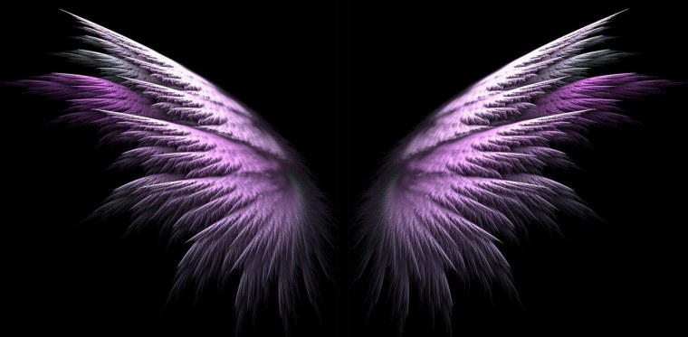 Крылья на темном фоне