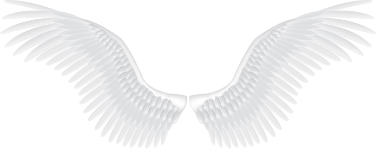 Крылья на белом фоне