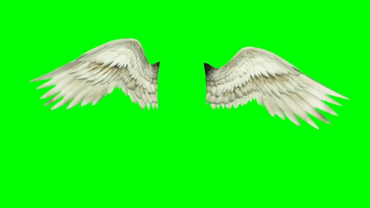 Зеленые Крылья