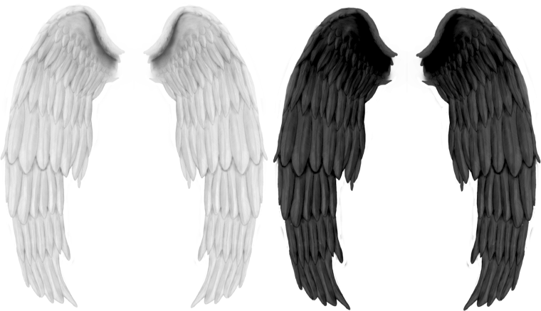 Сложенные Крылья ангела