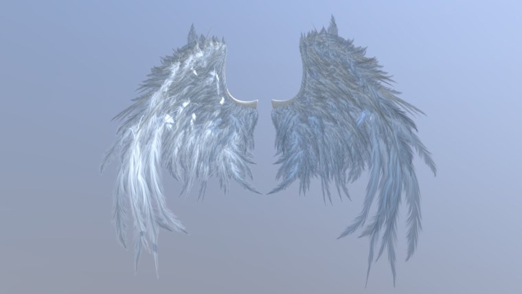 Крылья обои