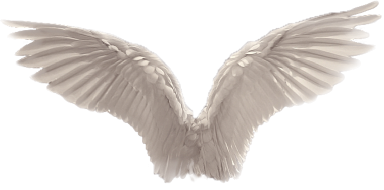 Прозрачные Крылья ангела