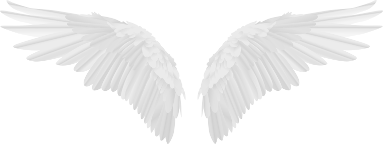 Крылья ангела для фотошопа без фона