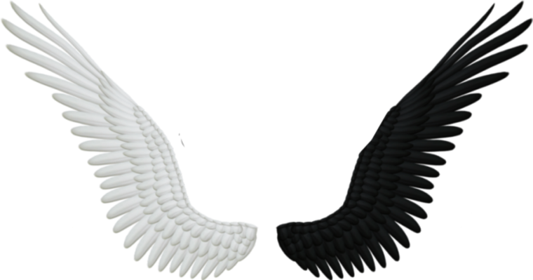 С одним крылом