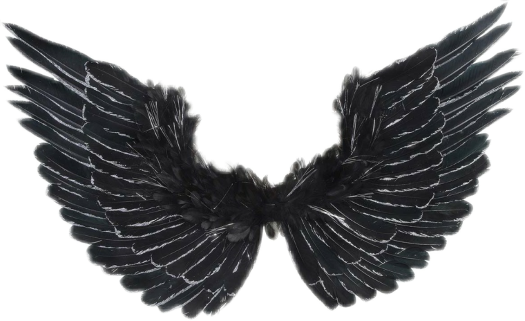Крылья на черном фоне