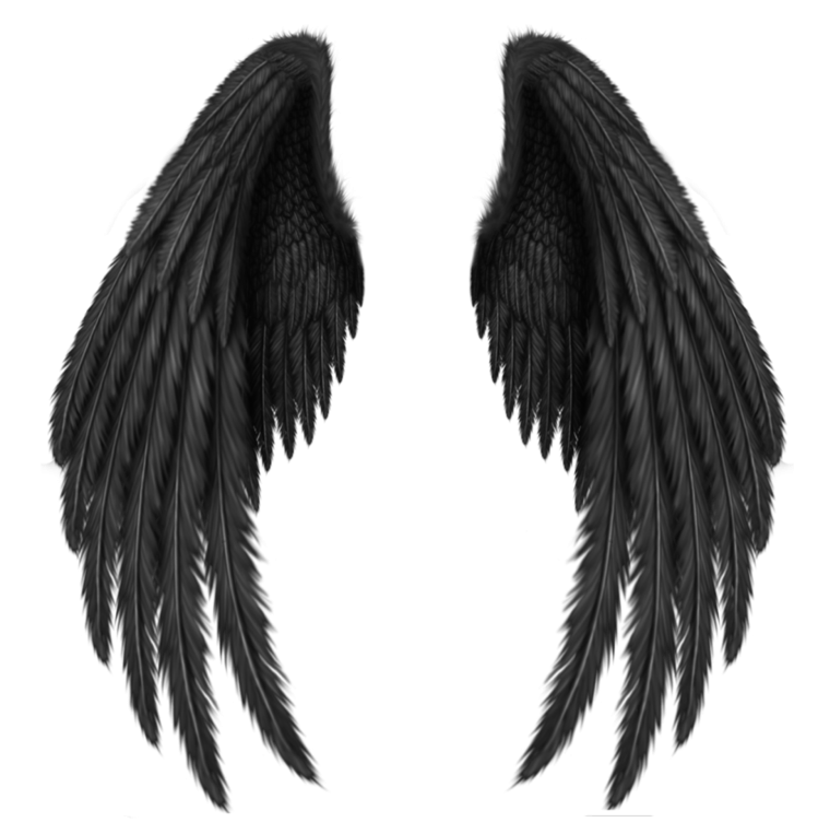 Крылья ангела черные