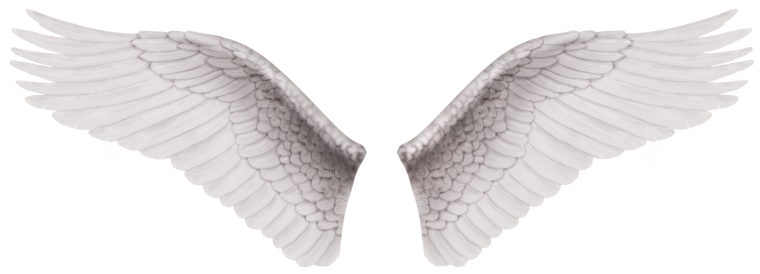 Крылья ангела на прозрачном фоне