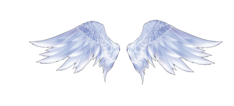Крылья на белом фоне