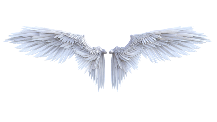 Прозрачные Крылья ангела