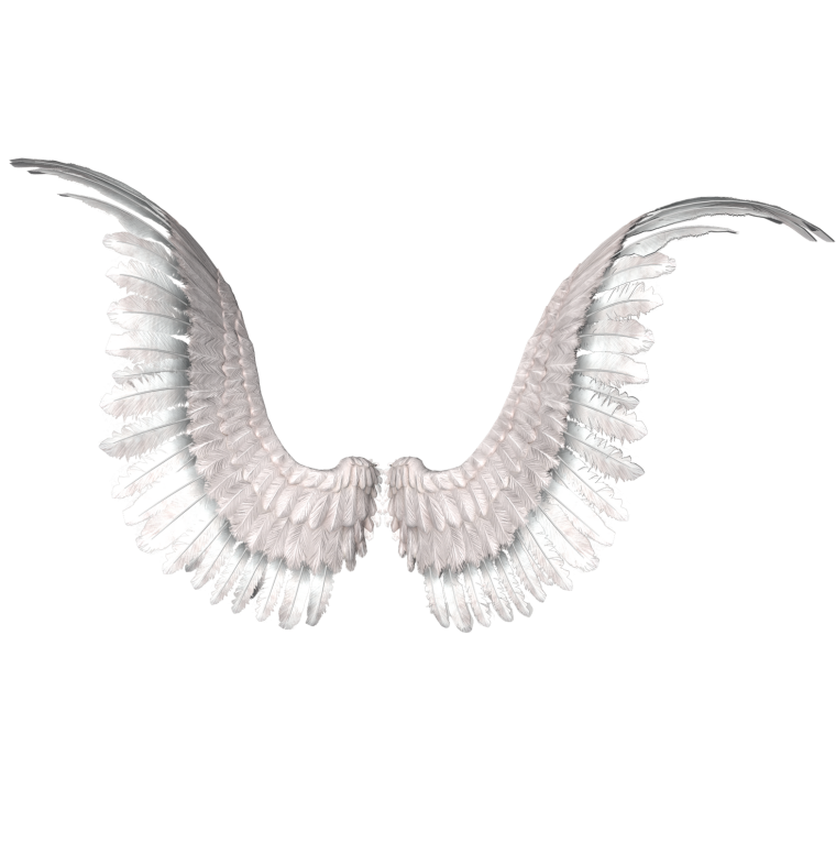 Крылья на прозрачном фоне