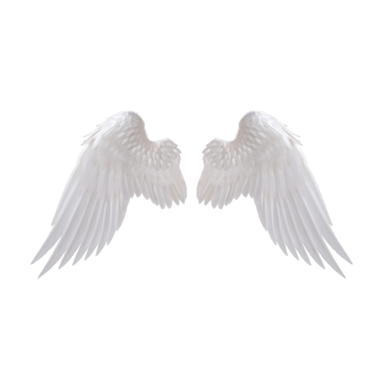 Крылья ангела на прозрачном фоне