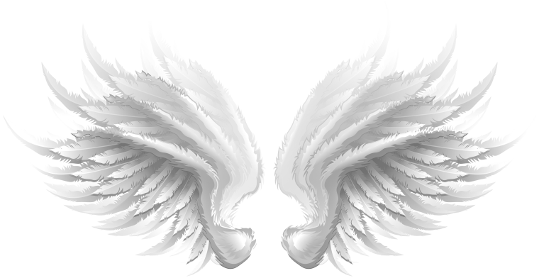 Крылья ангела на прозрачном фоне