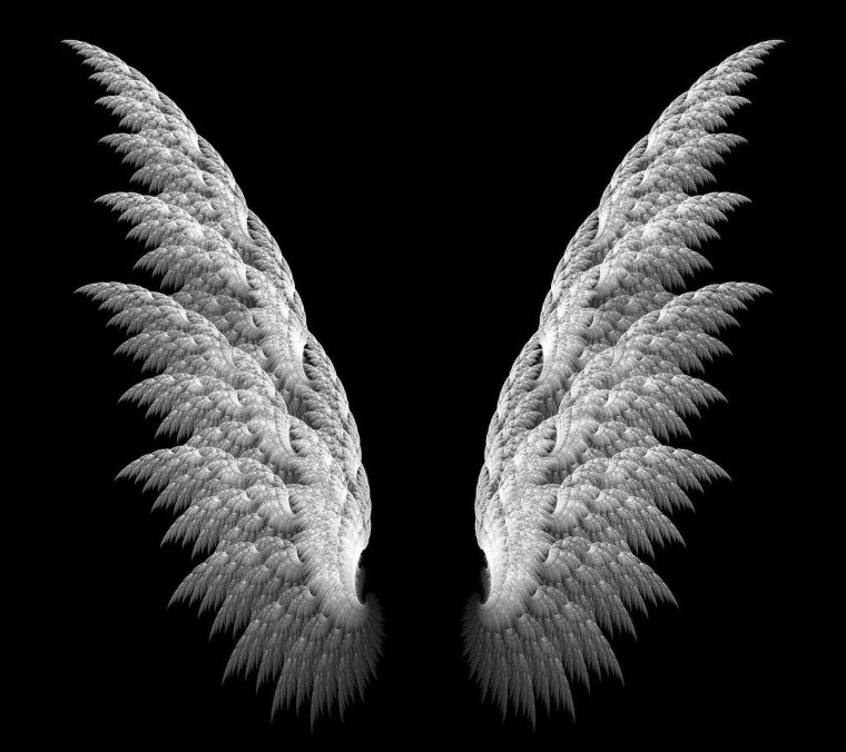 Белые Крылья ангела