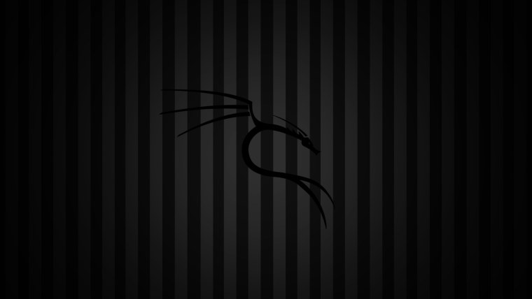 Kali Linux фон 1080