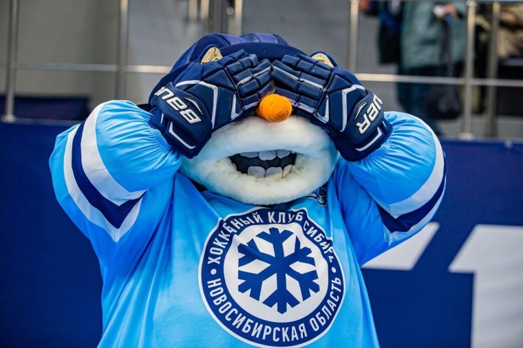 Сибирь Новосибирск Торпедо Нижний Новгород