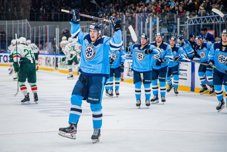 Эмблема хк Сибирь Новосибирск