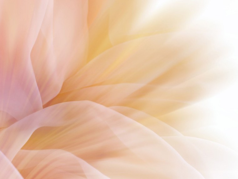 Бежевый фон