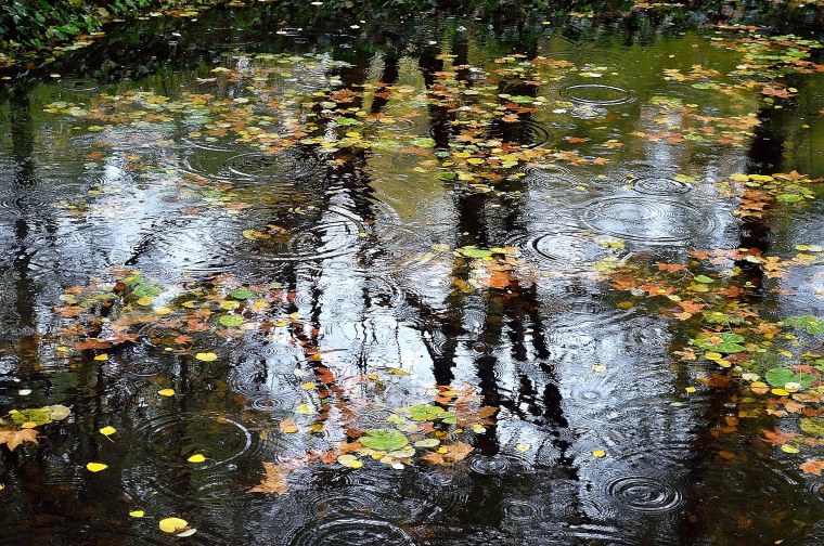 Дождливая осень